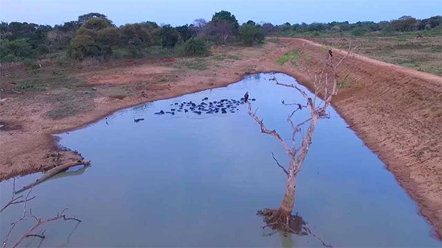 Island's water reserves fall to critical 36% as drought conditions persist
