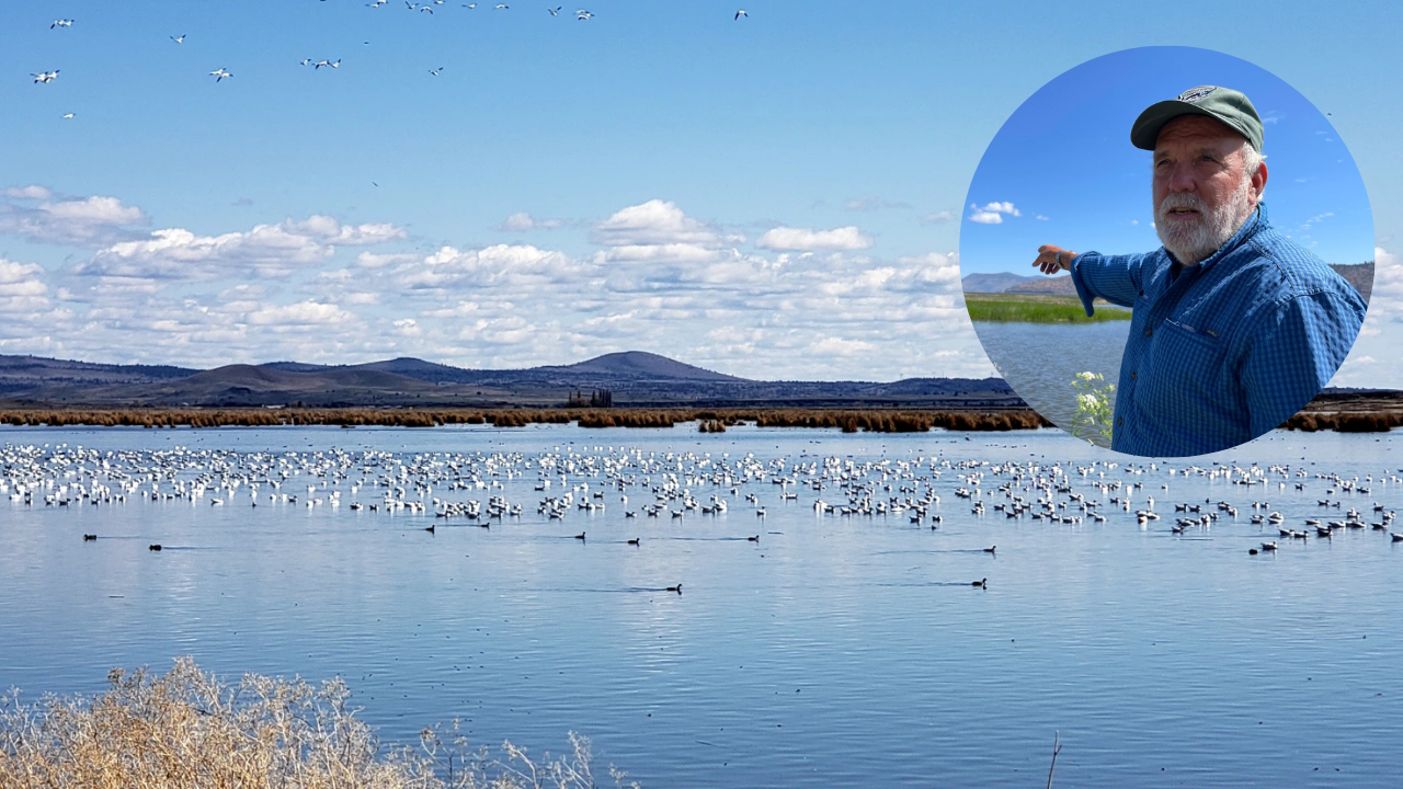 American farmer restores wetlands, revives endangered species habitat