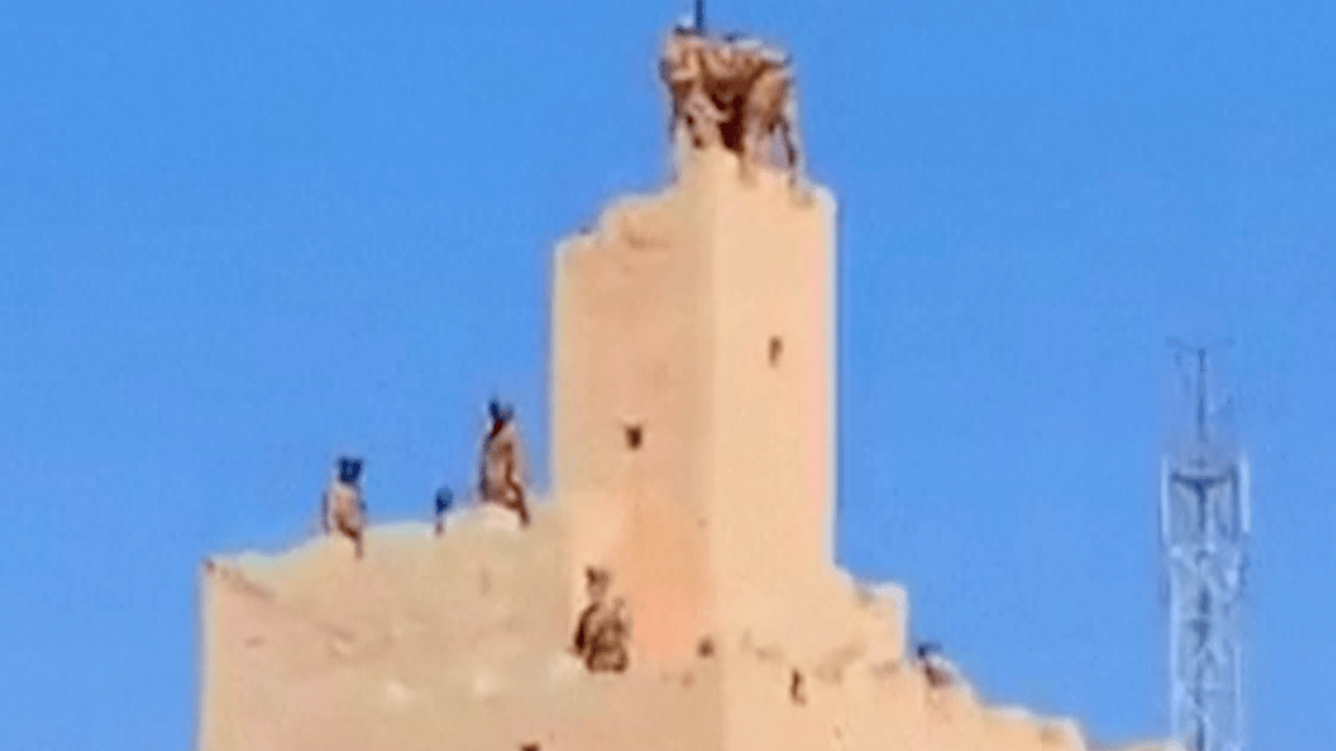 Video evidence emerges of Mali forces retaking strategic northern city