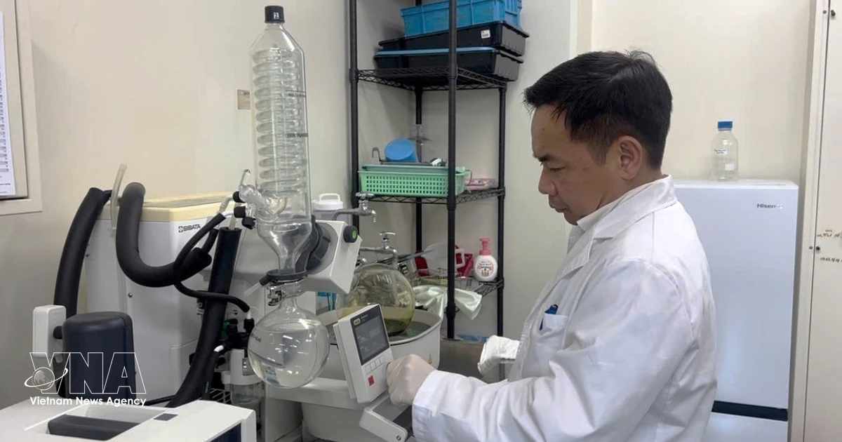 Vietnamese scientist in Japan leads breakthrough in sustainable rice cultivation