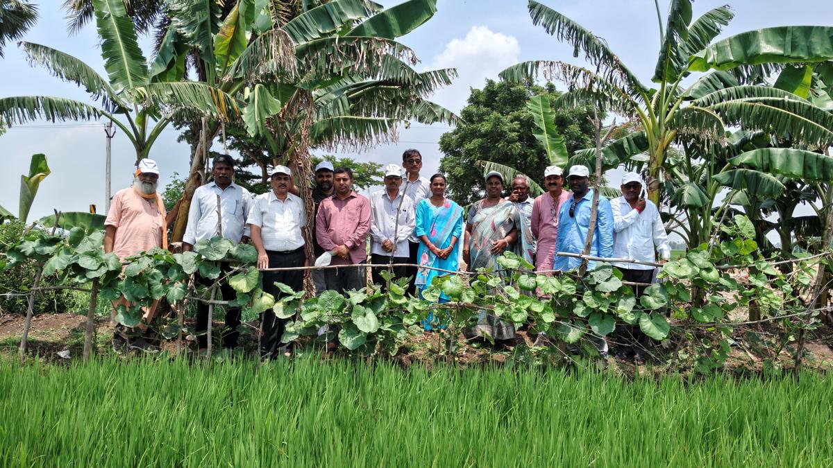 Gujarat delegation impressed by Andhra Pradesh natural farming approach
