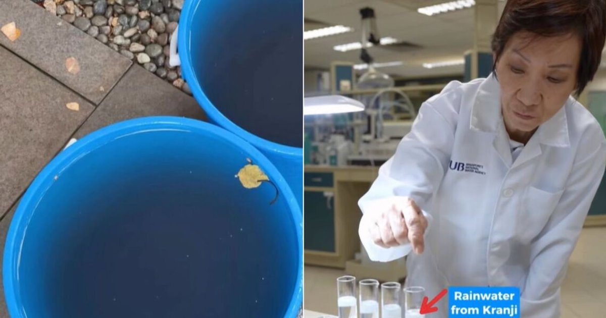 Singapore's Tap Water Remains Safe Despite Haze Concerns
