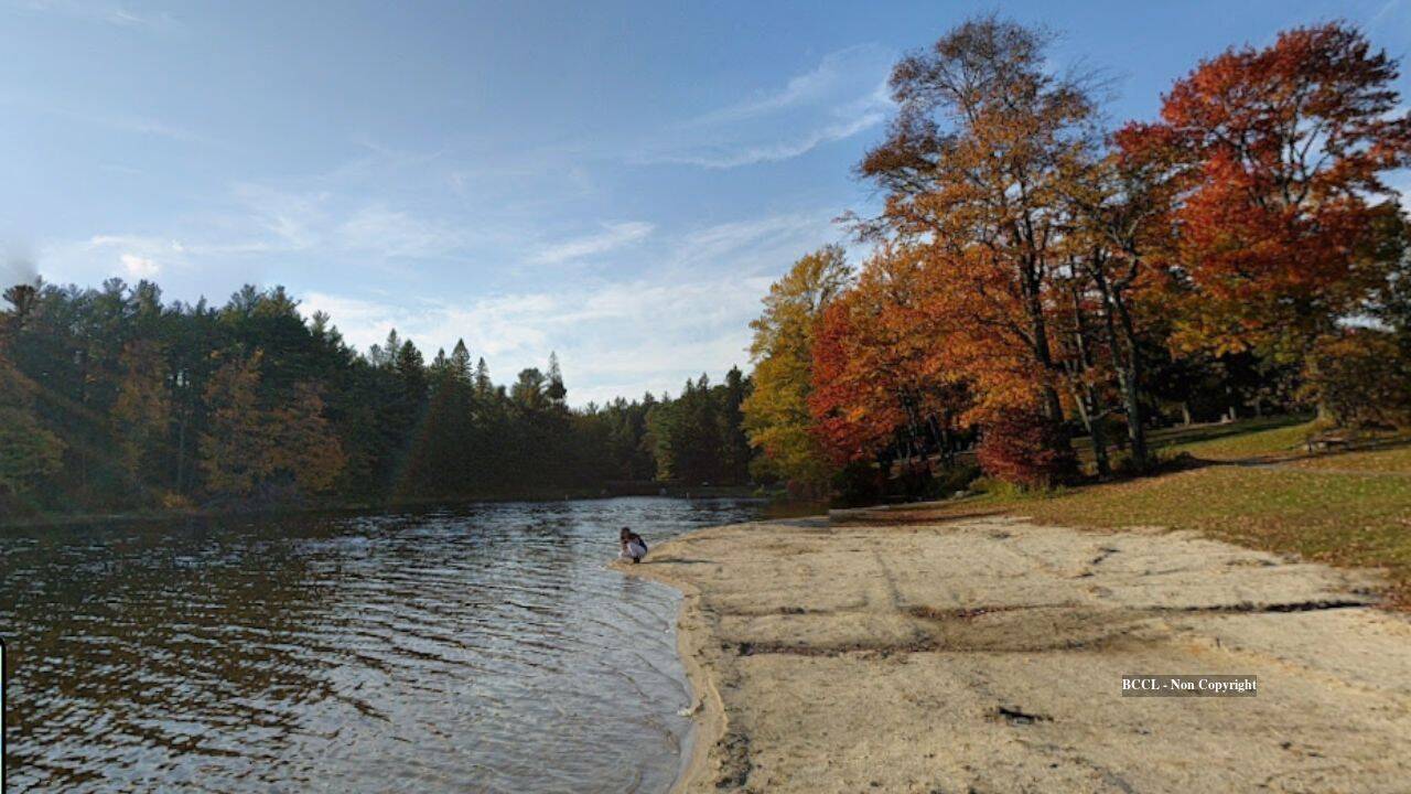 From Fire-Ravaged Wasteland to Million-Tree Forest: Pennsylvania's Conservation Success