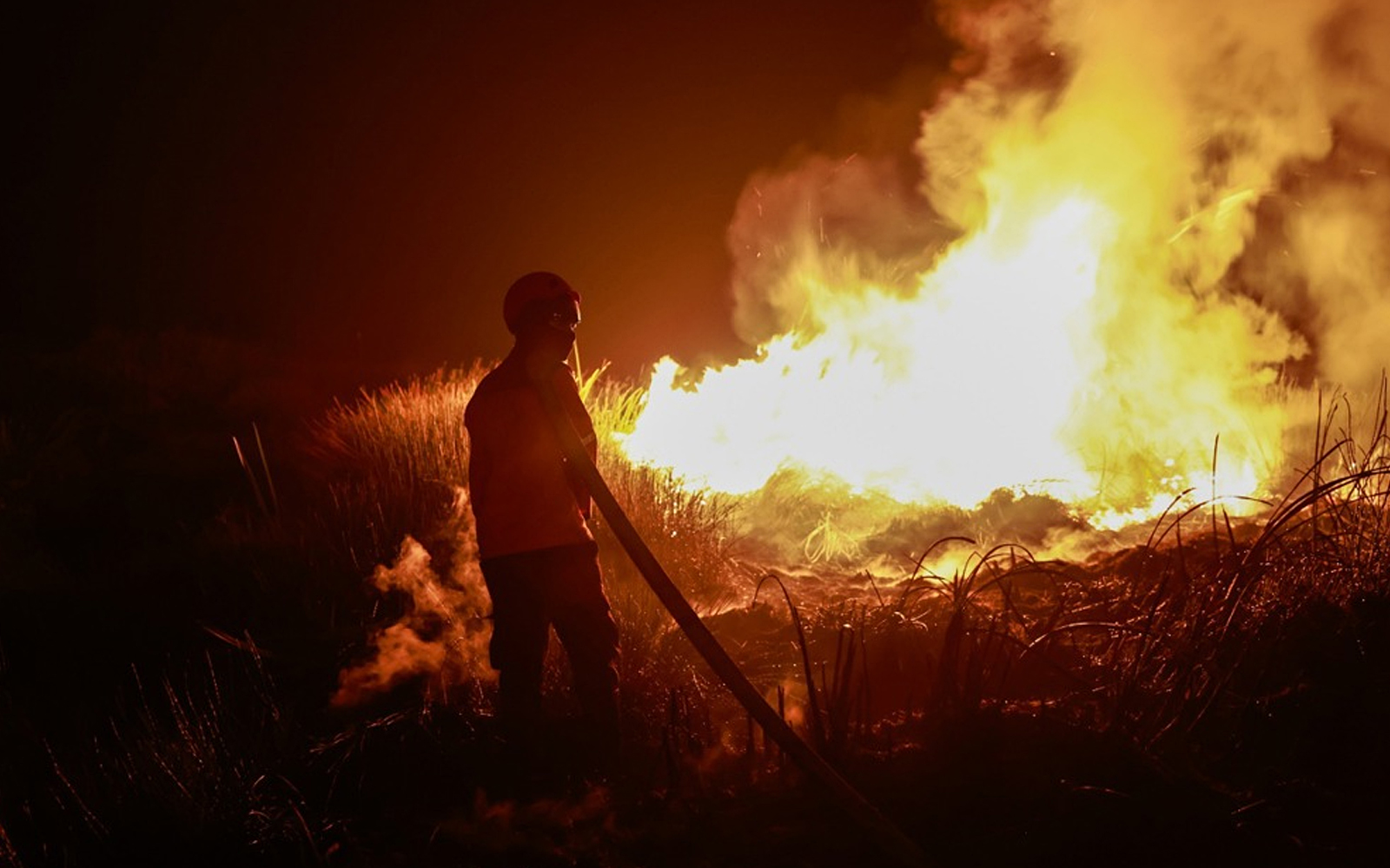 Titik Panas Kebakaran Indonesia Meningkat Empat Kali Ganda, Kalimantan Paling Teruk