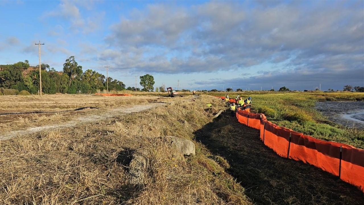 Innovative horizontal levee in California tests nature-based coastal defence