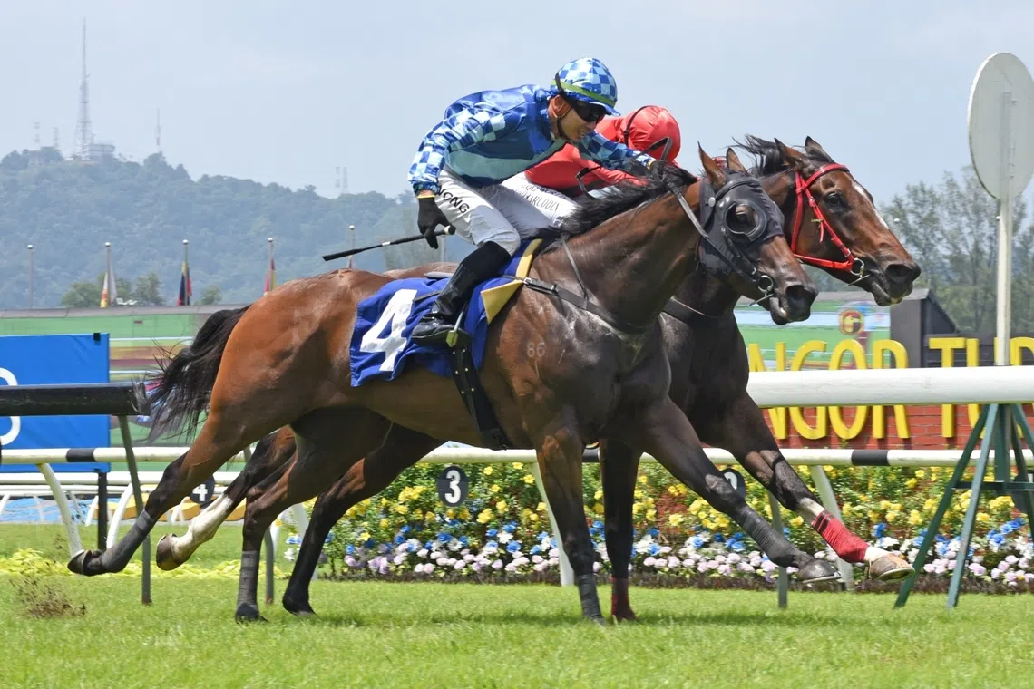 Three-horse race shapes Kuala Lumpur's competitive landscape