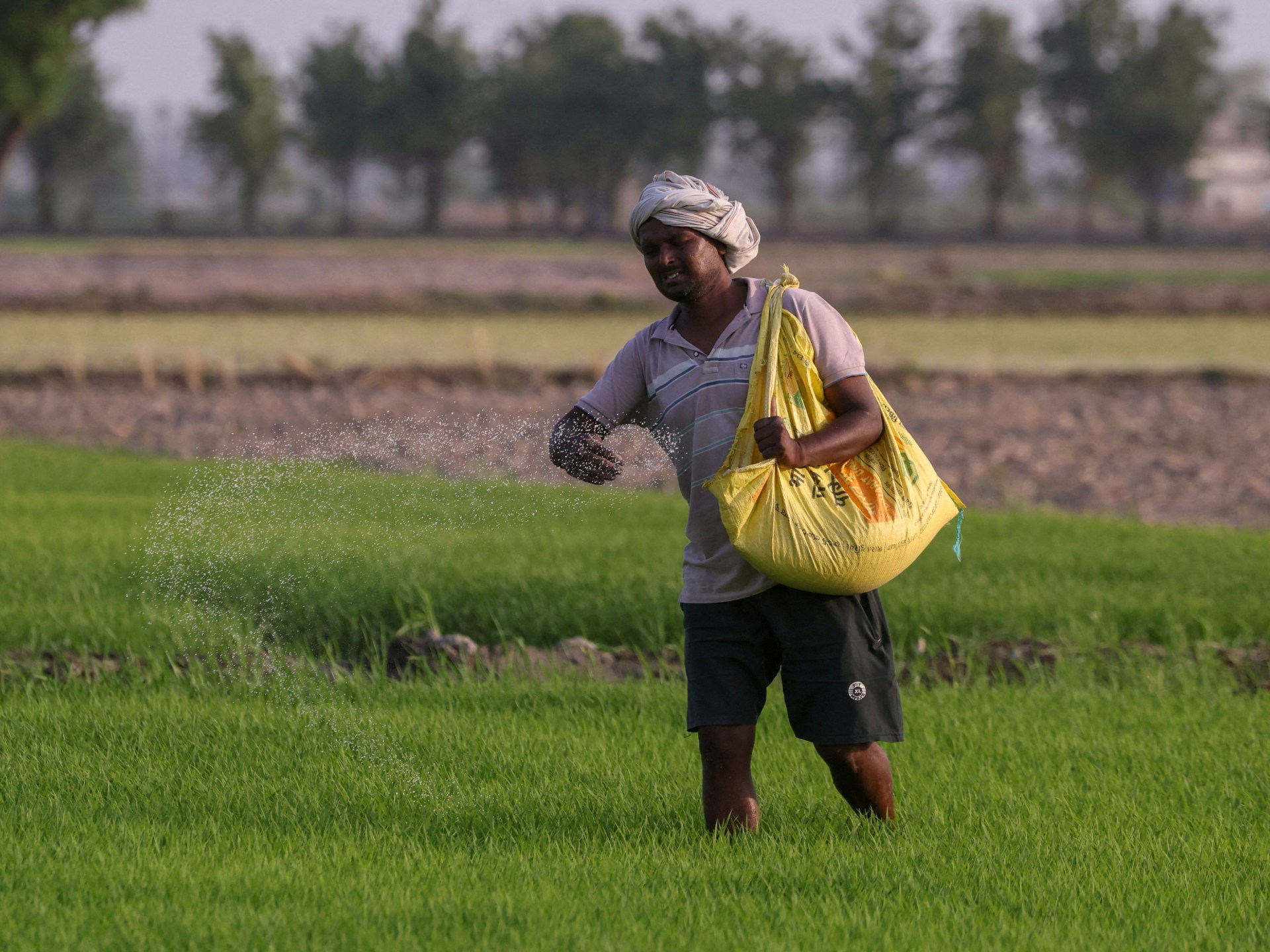 UN warns of global food crisis as Strait of Hormuz fertiliser deadlock deepens