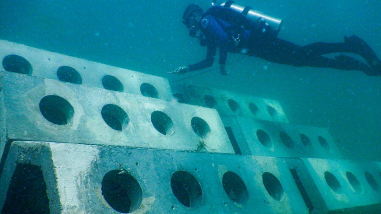 Artificial reefs prove effective in boosting marine biodiversity off Florida coast