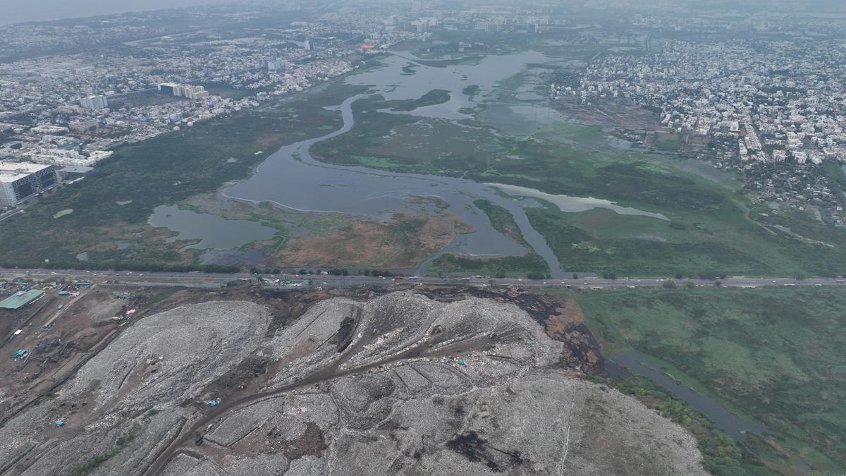 Tamil Nadu seeks to regulate, not ban, construction near Pallikaranai marsh