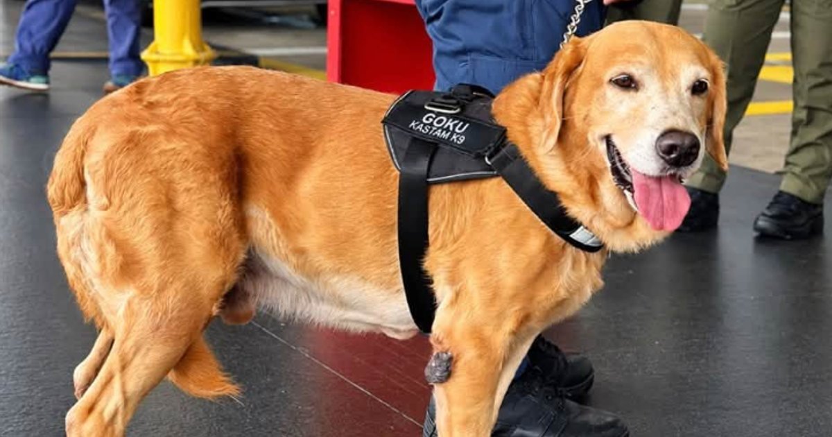 Malaysia deploys K9 units at KLIA from late October
