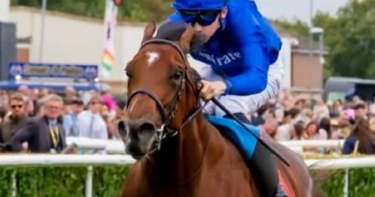 Desert Castle eyes third consecutive victory in upcoming contest