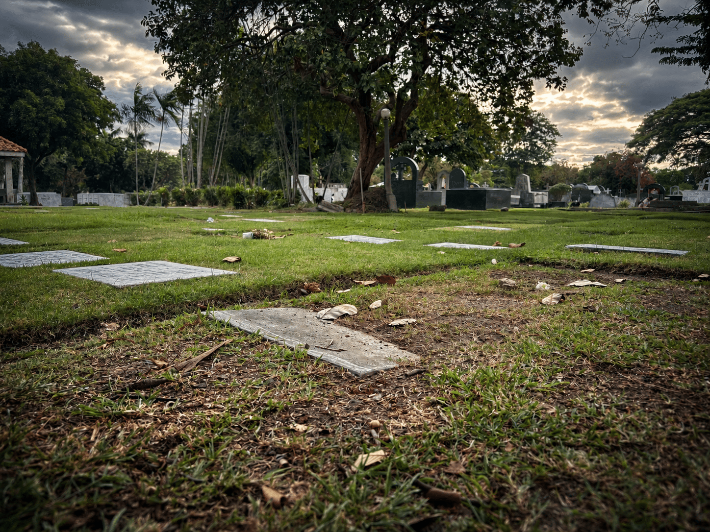 Mga libingang naiwan: Ang Undas na walang bulaklak at bisita