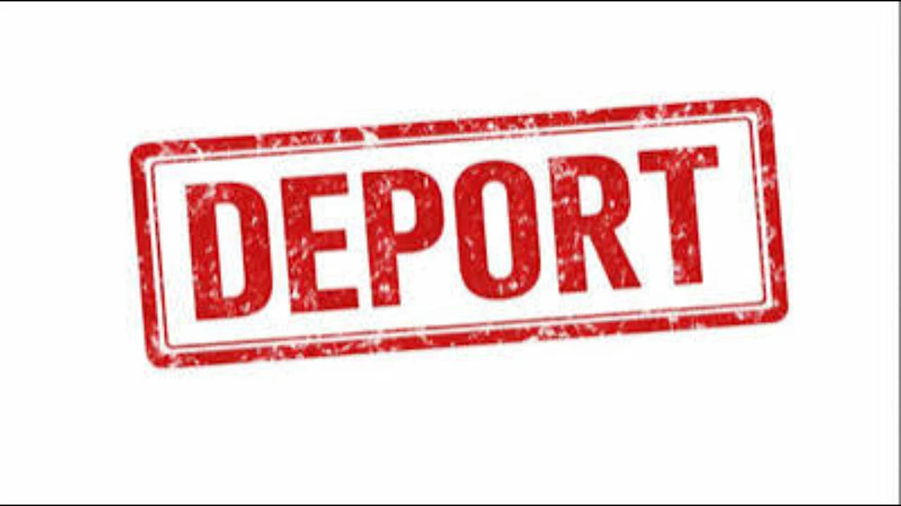 Afghan deportees from US include military interpreters' families