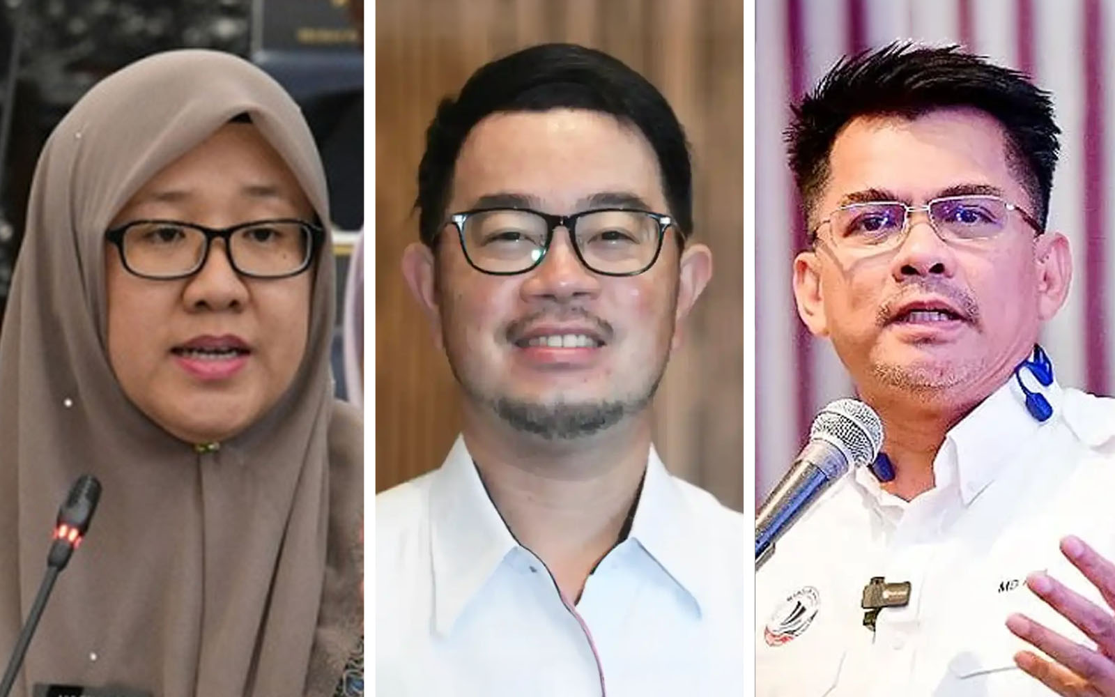 Warisan lantik dua naib presiden baharu, Junz Wong dipilih semula