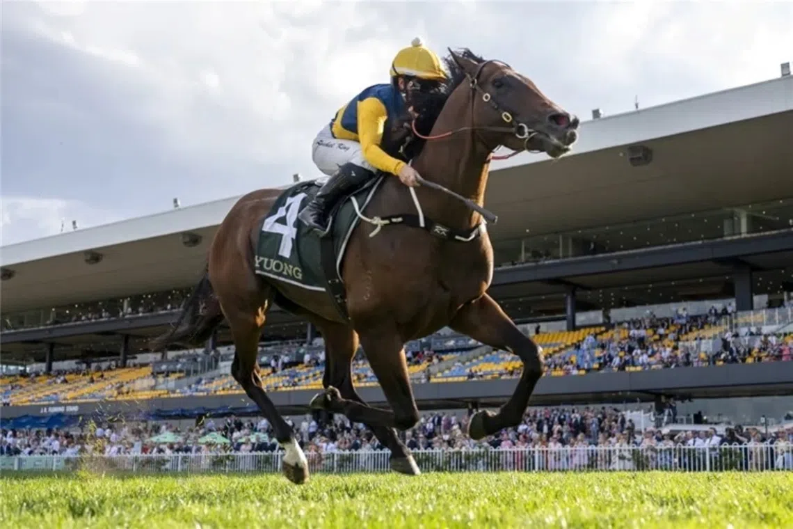 Warwoven secures dominant victory at Sydney event