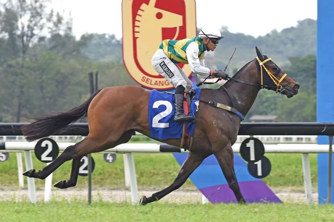 Coetzee's partnership shines in Charity Cup victory