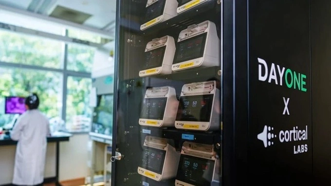 Singapore university deploys biological computing system using human brain cells