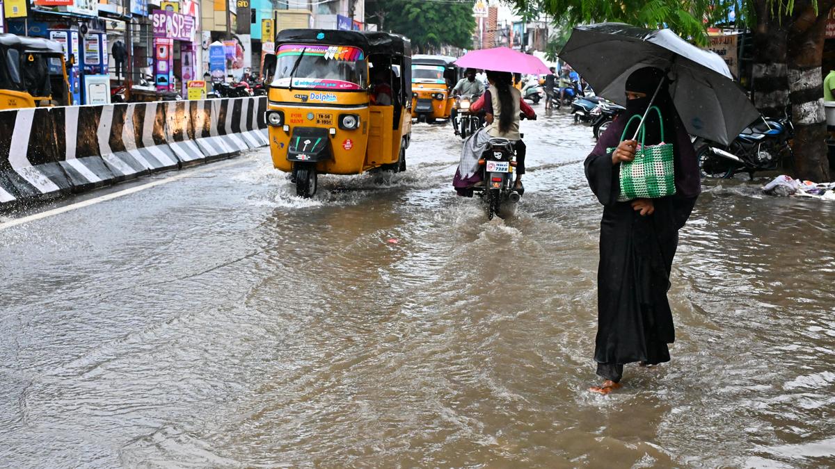 Heavy rainfall batters Salem, Krishnagiri, and Dharmapuri districts