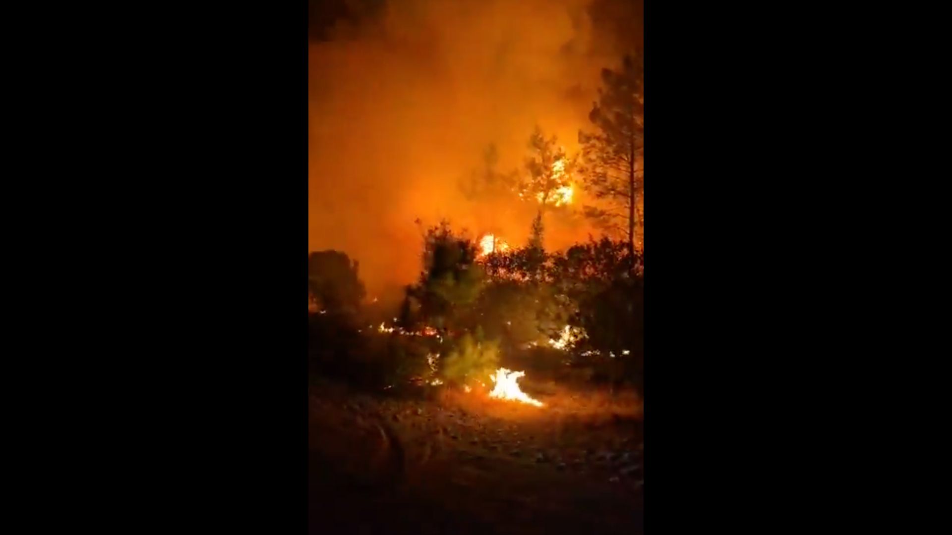 Wildfires Force Evacuations at Turkish Holiday Resorts in Antalya