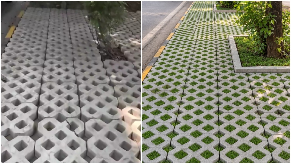 Delhi's Unusual Footpath Design Serves Environmental Purpose