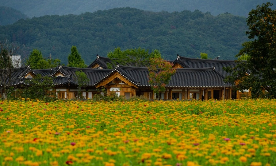South Korean County Invests $260M to Honor Vietnamese Prince's 800-Year Legacy