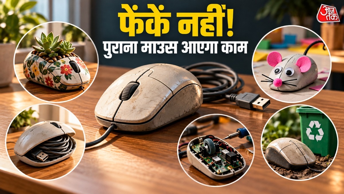 पुराने कंप्यूटर माउस को न फेंकें, घर में करें रचनात्मक उपयोग
