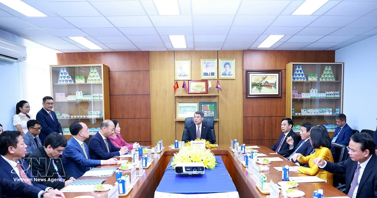 Vietnamese dairy giant's Cambodia venture hailed as business success