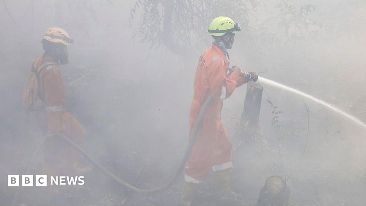 Indonesia's haze crisis triggers surge in respiratory illnesses