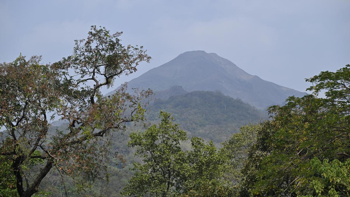 Western Ghats eco-sensitive zones proposal sparks fresh concerns among residents