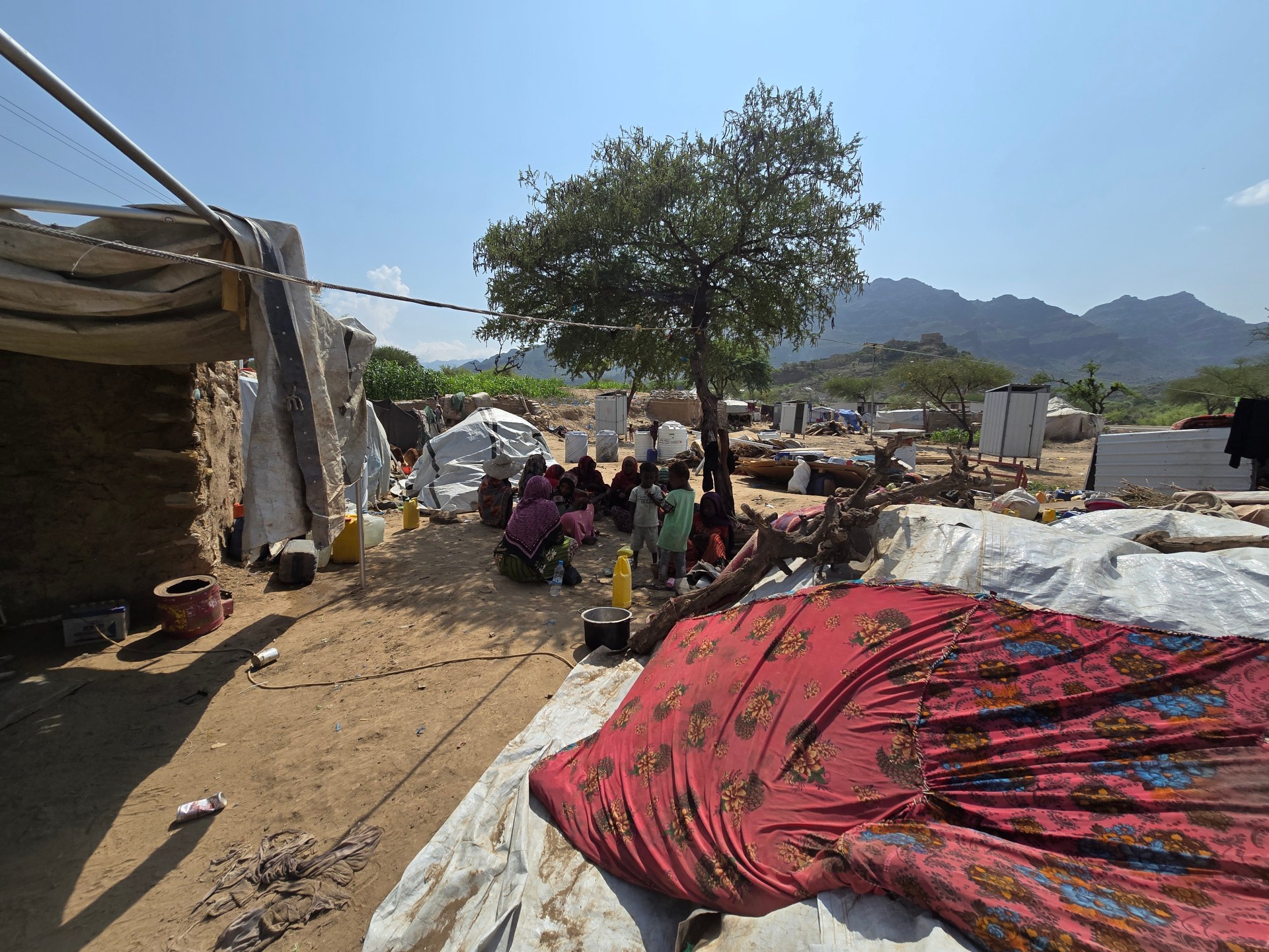 Yemen fighting intensifies as civilian toll mounts sharply