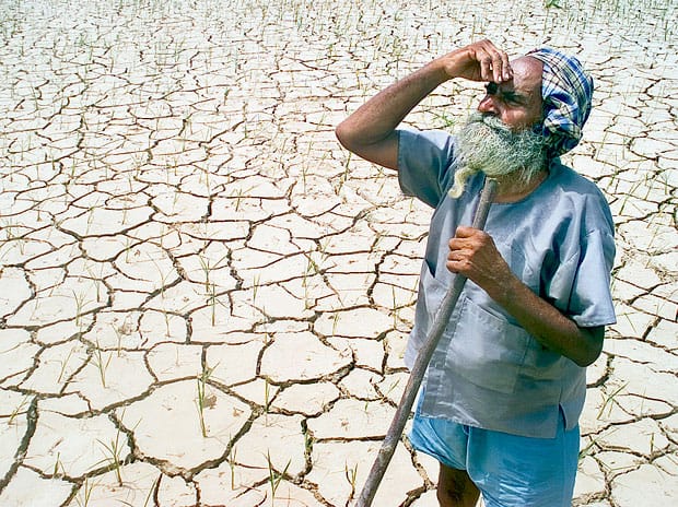 El Niño threatens Indian harvests despite stable planting area