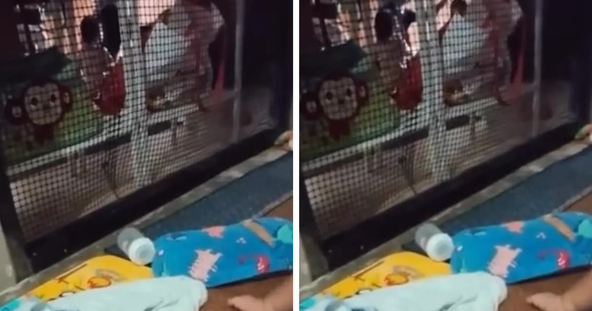 Wanita ditahan atas suspicion melakukan kekasaran terhadap kanak-kanak di taska