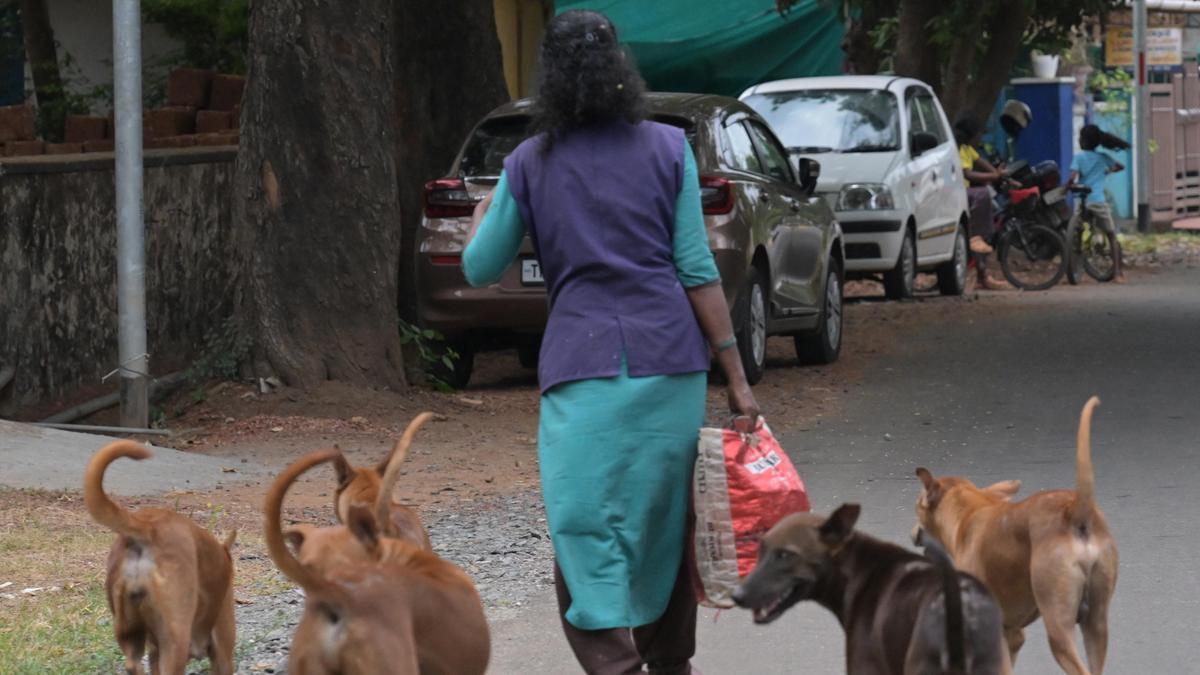 Dog vaccination offers more promise than child PrEP for rabies control in Kerala