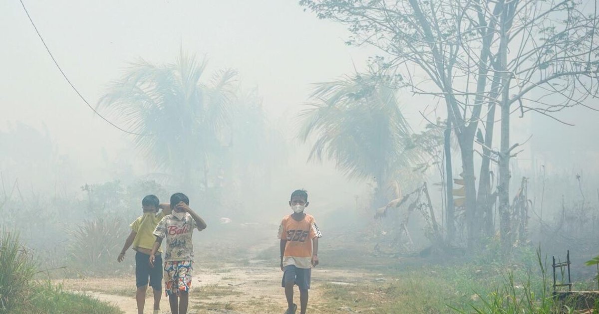 TSH Resources identifies 274 fire hotspots across plantation estate