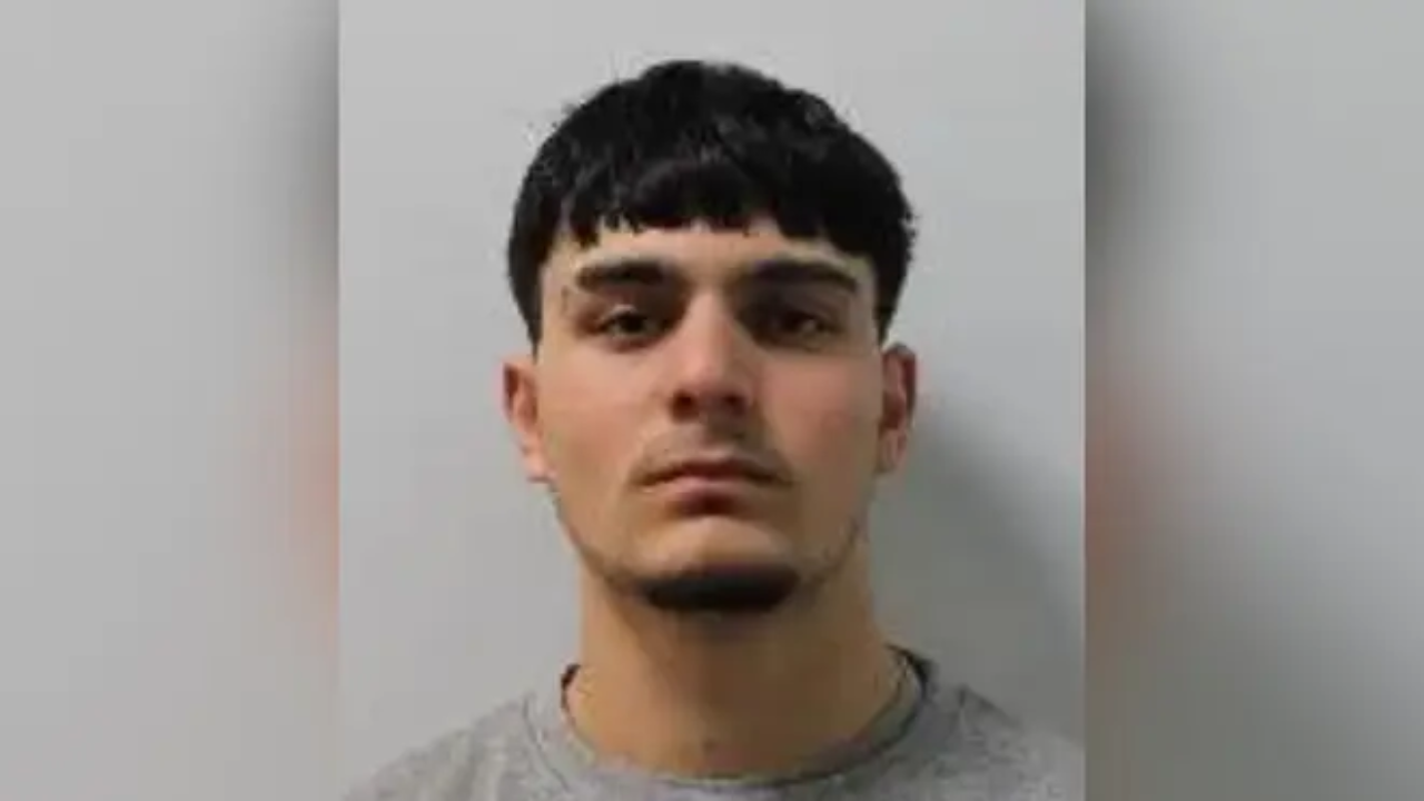 Afghan refugee pleads guilty to London murder charge
