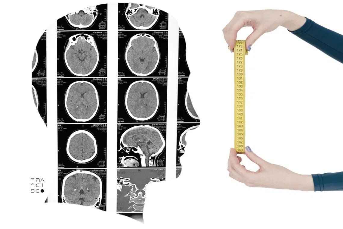 Fatherhood reshapes male brain biology and physiology, research shows