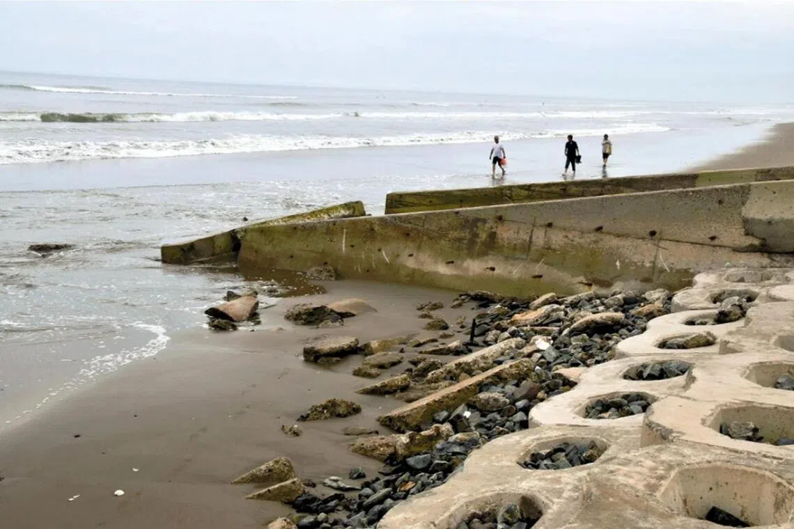 Japan's beaches face dual crisis as visitors desert shores and sand erodes