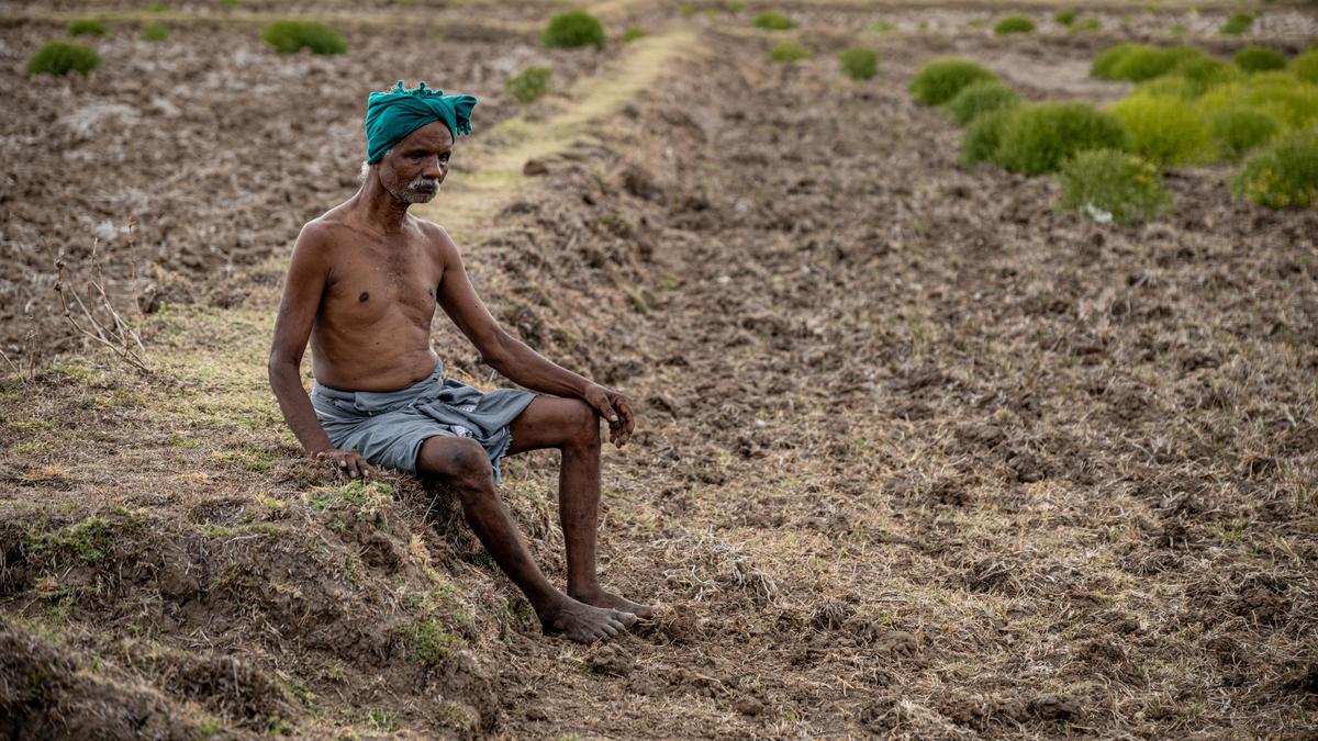Weak monsoon deepens Cauvery water crisis between Karnataka and Tamil Nadu