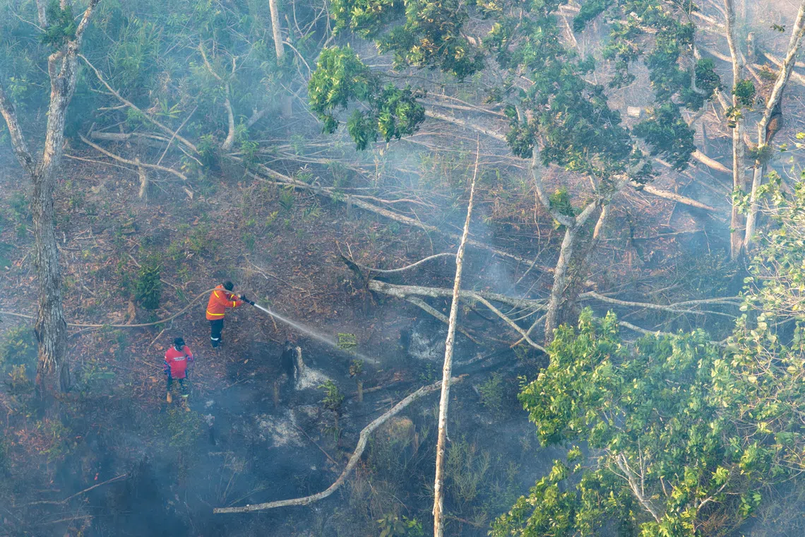 Wildfires advance toward Indonesia's new capital Nusantara