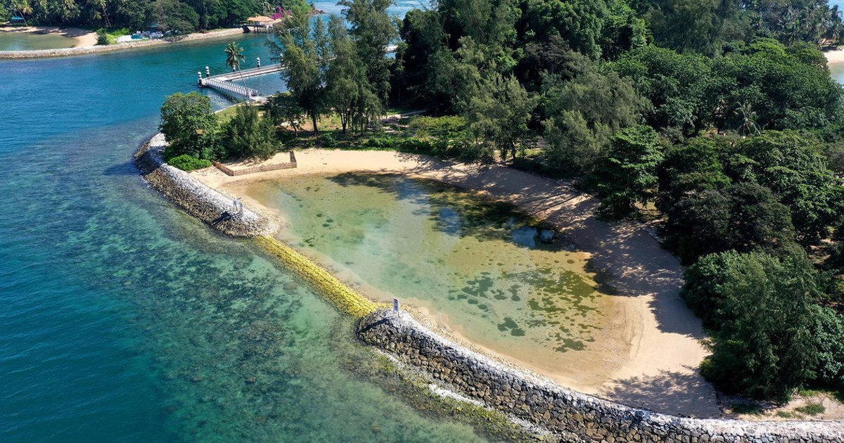 Marine park gains sanctuary status amid busy shipping corridors