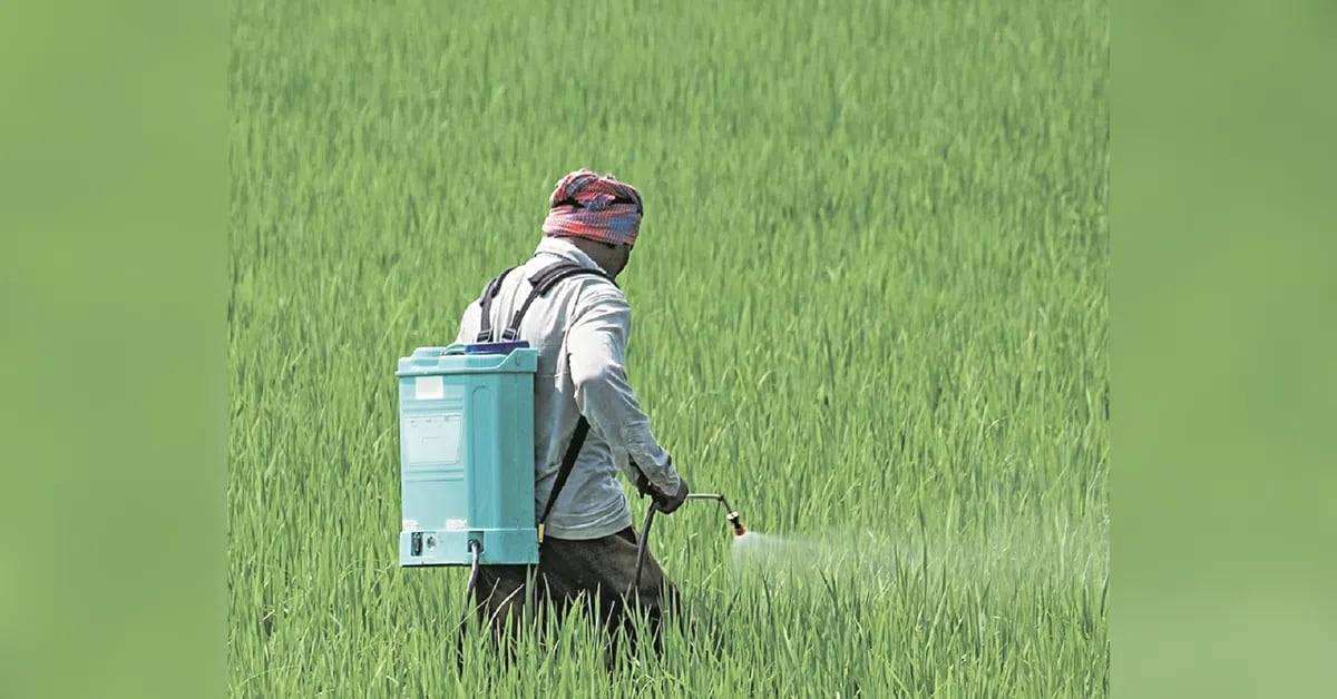 डिजिटल खाद विक्रय प्रणाली का राज्यव्यापी विस्तार किसानों को मिलेगा सीधा लाभ