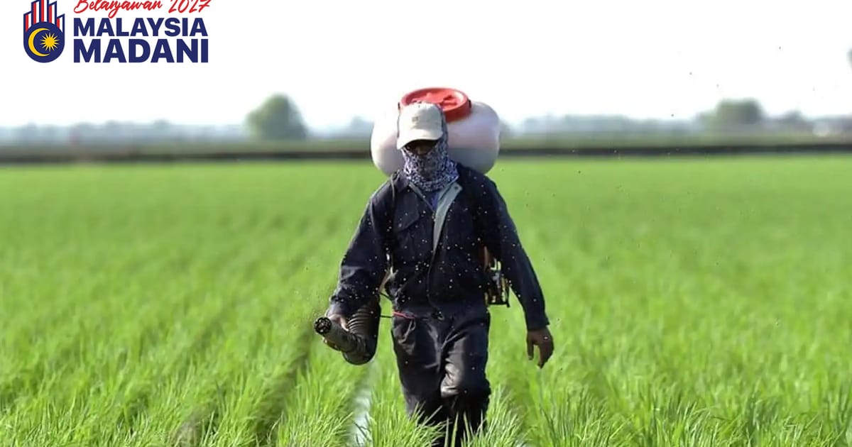 Government allocates RM2.63 billion in agricultural support, doubles paddy incentives