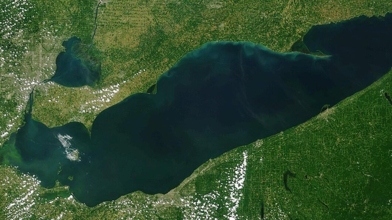 Restored wetland attracts millions of fish, sonar study shows