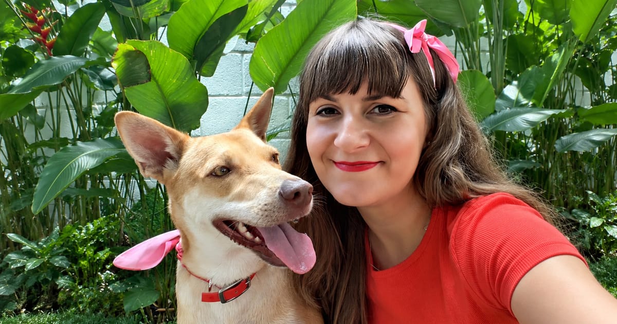 Malaysian rescue dog finds new home with Swiss family