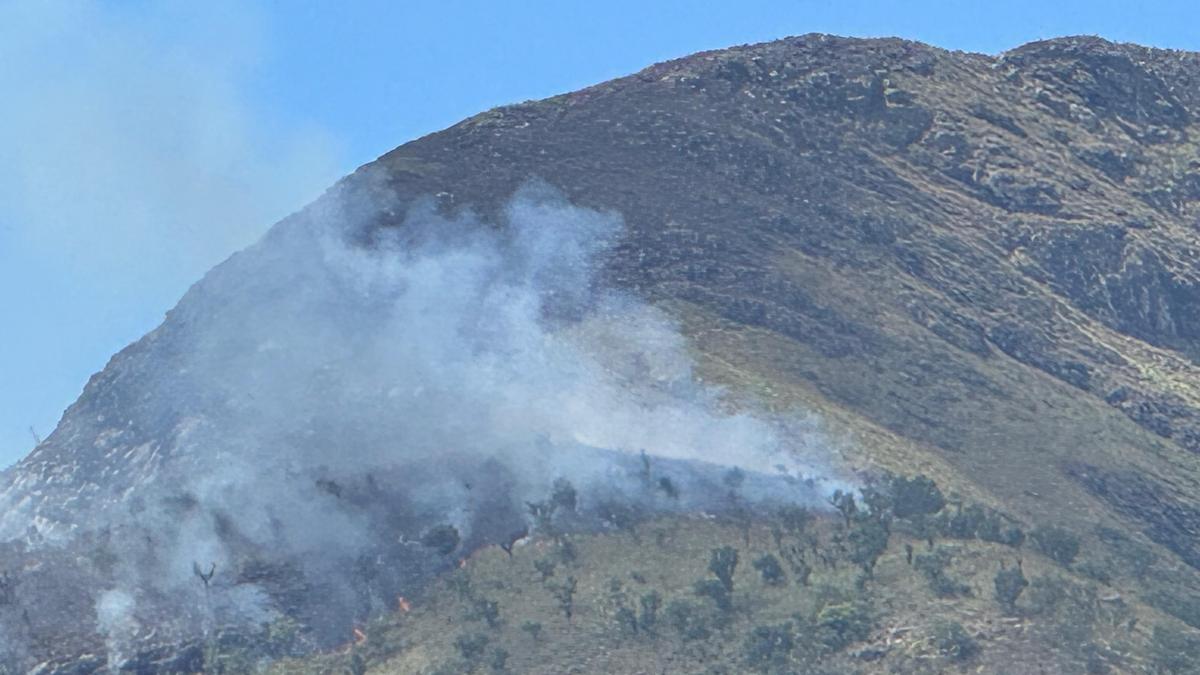 Seven teams battle major forest fire in Tamil Nadu's Kadambur Hills