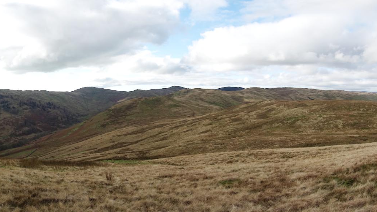 UK Upland Restoration Brings Wildlife Revival to English Fell