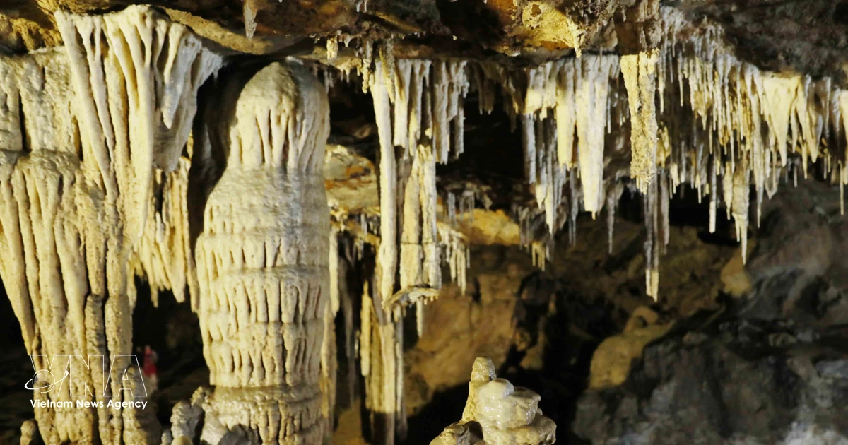 Lai Chau's High-Altitude Cave System Draws Nature Enthusiasts