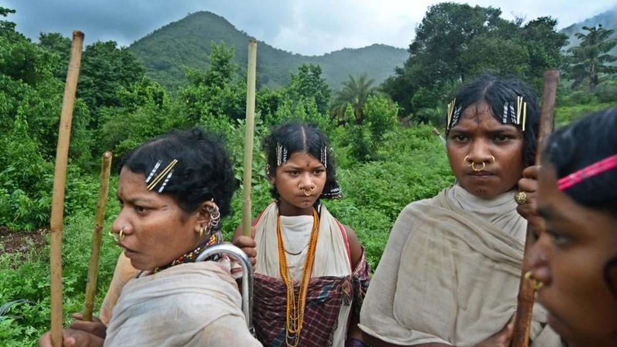 Activists warn against Niyamgiri bauxite mining revival push