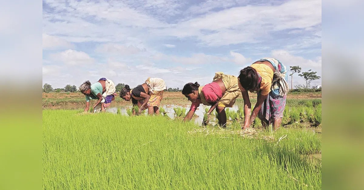 खरीफ बुवाई 2025 के स्तर के करीब, 21 अगस्त तक मात्र 1.5% कम