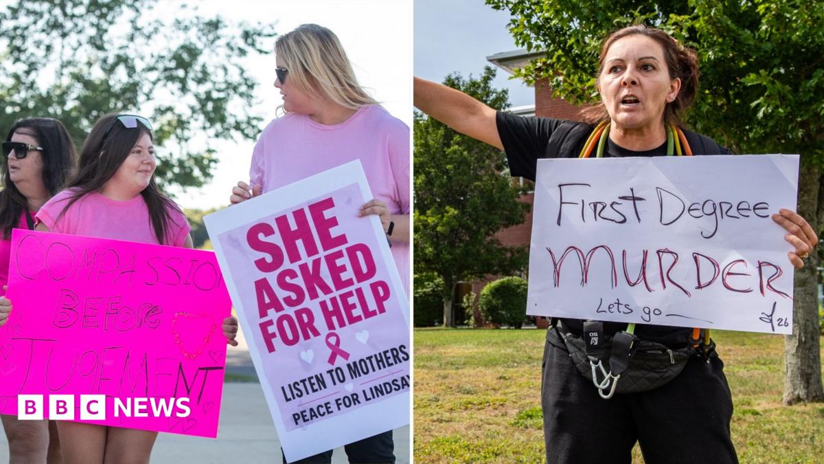 US divided over whether accused mother is victim of mental illness or criminal